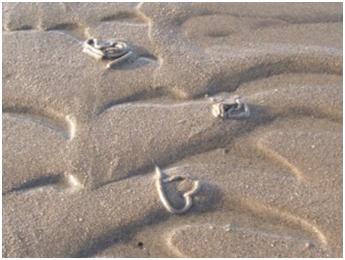What made these swirls in the sand?