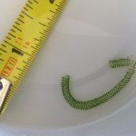 string of green eggs and tape measure